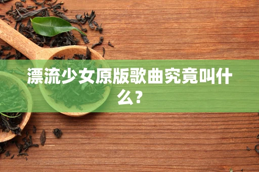 漂流少女原版歌曲究竟叫什么？