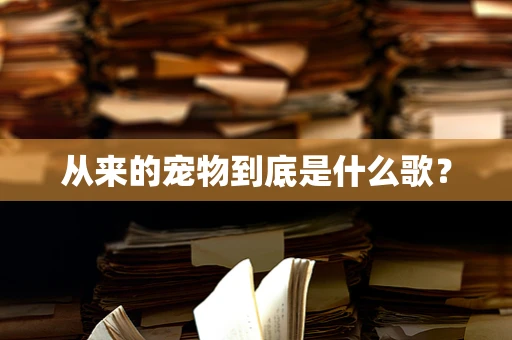 从来的宠物到底是什么歌？