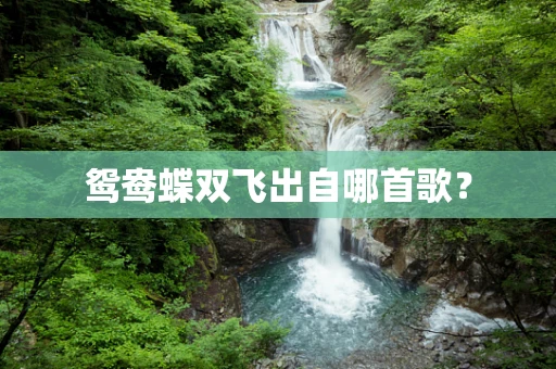 鸳鸯蝶双飞出自哪首歌？