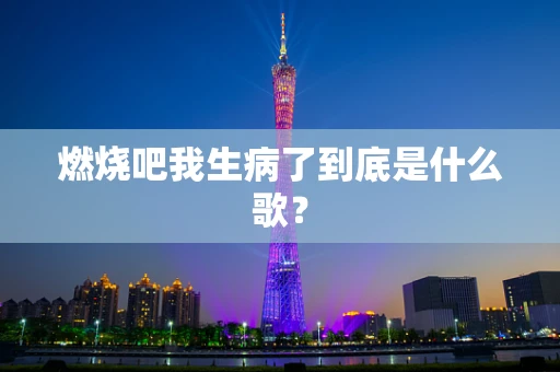 燃烧吧我生病了到底是什么歌？