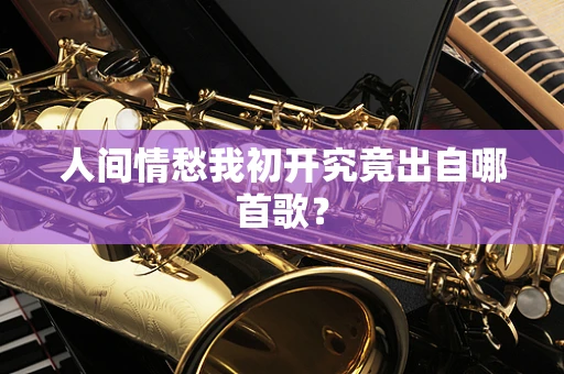 人间情愁我初开究竟出自哪首歌？