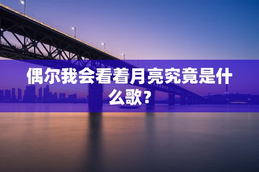 偶尔我会看着月亮究竟是什么歌？