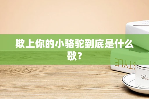 欺上你的小骆驼到底是什么歌？