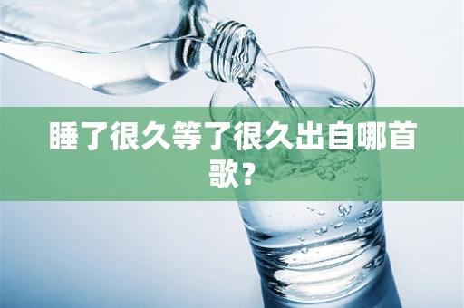 睡了很久等了很久出自哪首歌？