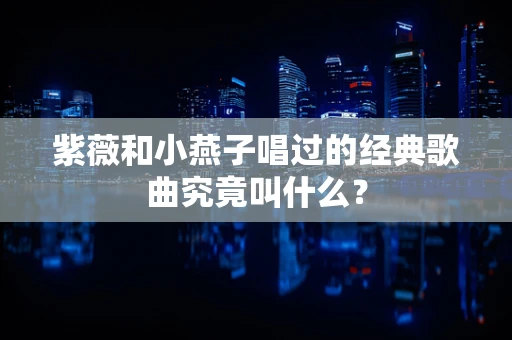 紫薇和小燕子唱过的经典歌曲究竟叫什么？