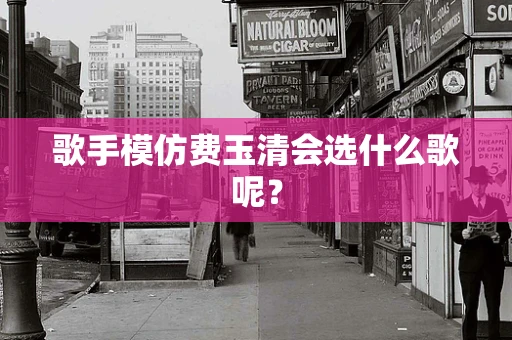 歌手模仿费玉清会选什么歌呢？