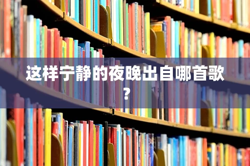 这样宁静的夜晚出自哪首歌？