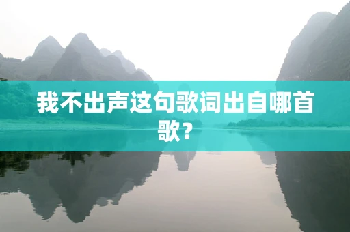 我不出声这句歌词出自哪首歌？