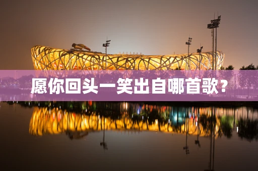 愿你回头一笑出自哪首歌？