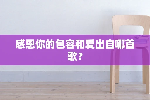 感恩你的包容和爱出自哪首歌？