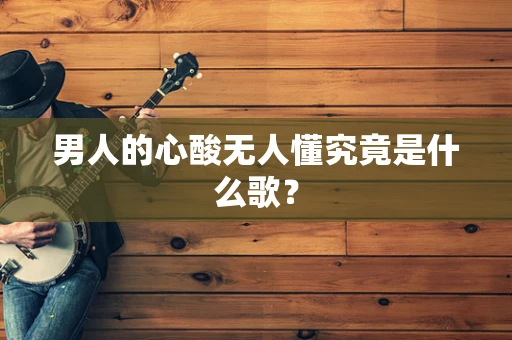 男人的心酸无人懂究竟是什么歌？