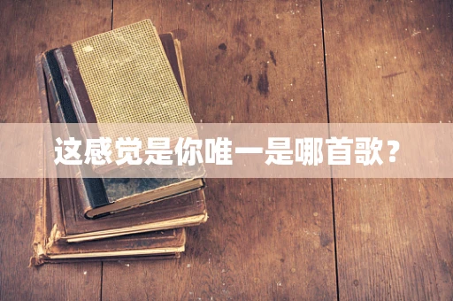 这感觉是你唯一是哪首歌？