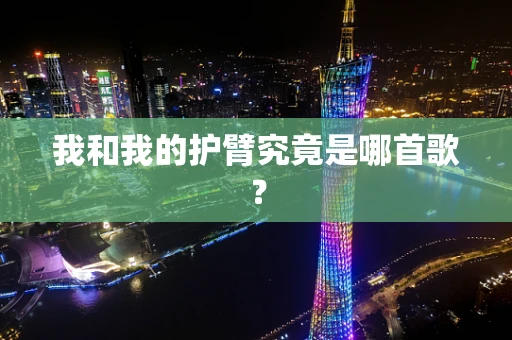 我和我的护臂究竟是哪首歌？