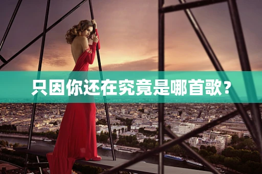 只因你还在究竟是哪首歌？