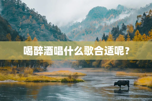 喝醉酒唱什么歌合适呢？