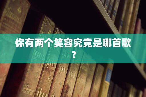 你有两个笑容究竟是哪首歌？