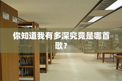 你知道我有多深究竟是哪首歌？