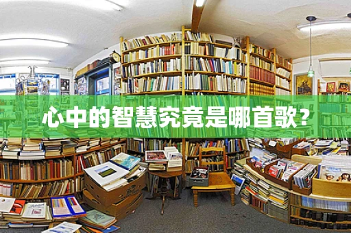心中的智慧究竟是哪首歌？