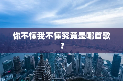 你不懂我不懂究竟是哪首歌？