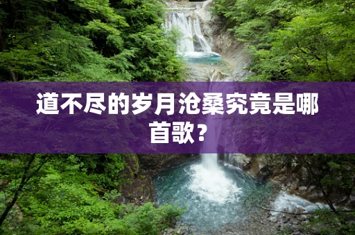 道不尽的岁月沧桑究竟是哪首歌？
