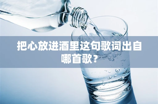 把心放进酒里这句歌词出自哪首歌？