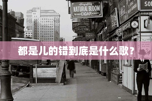 都是儿的错到底是什么歌？
