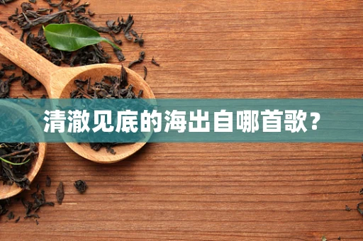 清澈见底的海出自哪首歌？
