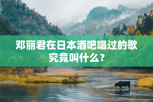 邓丽君在日本酒吧唱过的歌究竟叫什么？
