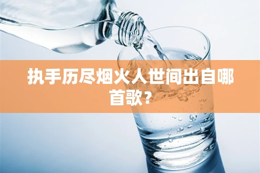 执手历尽烟火人世间出自哪首歌？