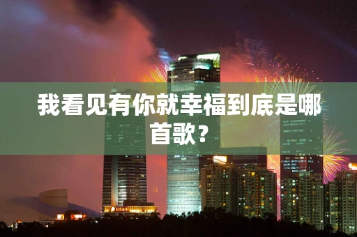 我看见有你就幸福到底是哪首歌？