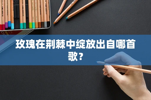 玫瑰在荆棘中绽放出自哪首歌？