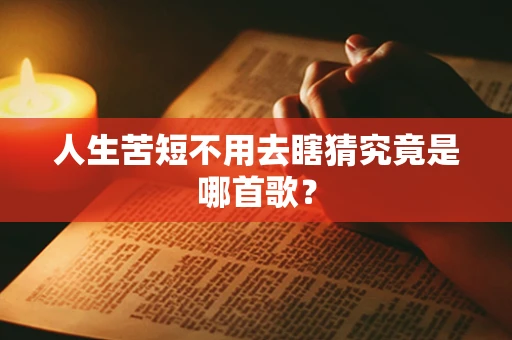 人生苦短不用去瞎猜究竟是哪首歌？