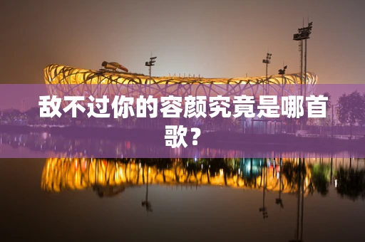 敌不过你的容颜究竟是哪首歌？