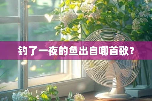 钓了一夜的鱼出自哪首歌？