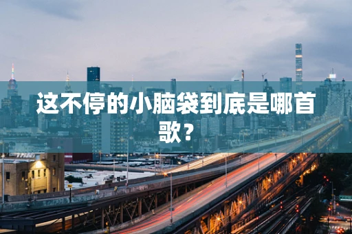 这不停的小脑袋到底是哪首歌？