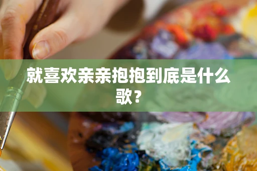 就喜欢亲亲抱抱到底是什么歌？