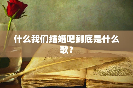 什么我们结婚吧到底是什么歌？