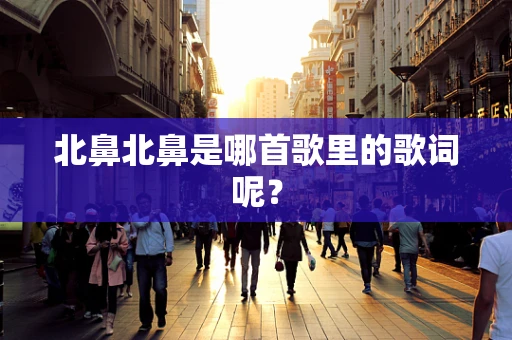 北鼻北鼻是哪首歌里的歌词呢？