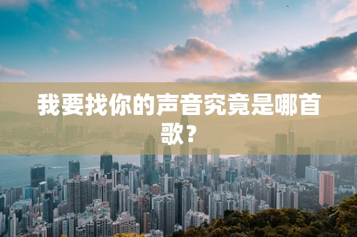 我要找你的声音究竟是哪首歌？