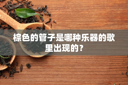 棕色的管子是哪种乐器的歌里出现的？