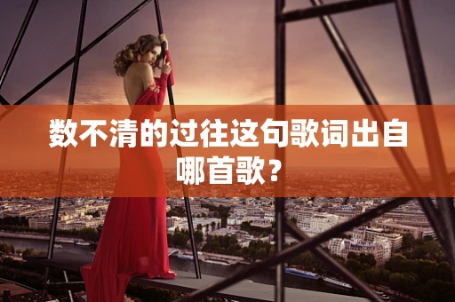 数不清的过往这句歌词出自哪首歌？
