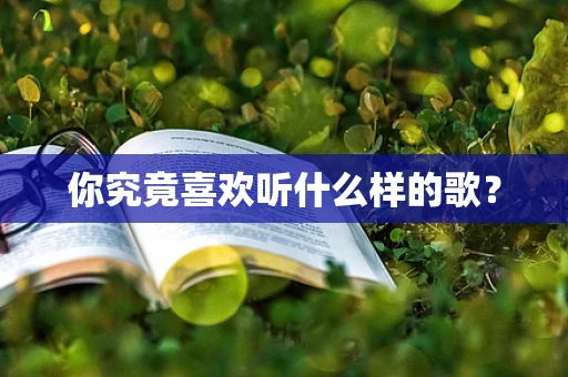 你究竟喜欢听什么样的歌？