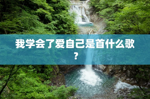 我学会了爱自己是首什么歌？