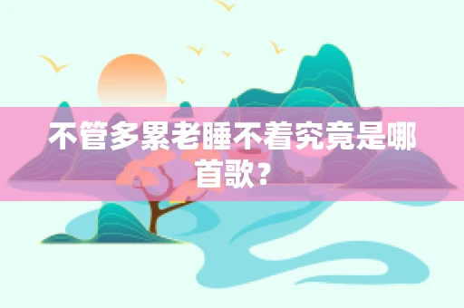 不管多累老睡不着究竟是哪首歌？