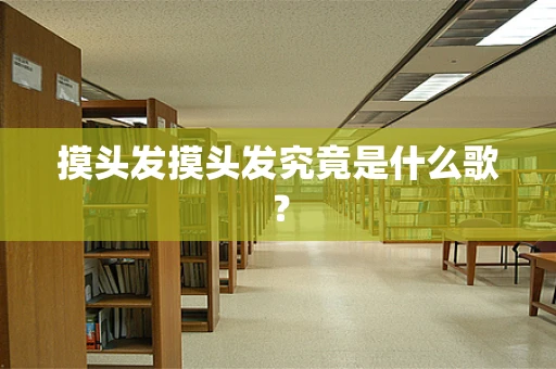 摸头发摸头发究竟是什么歌？