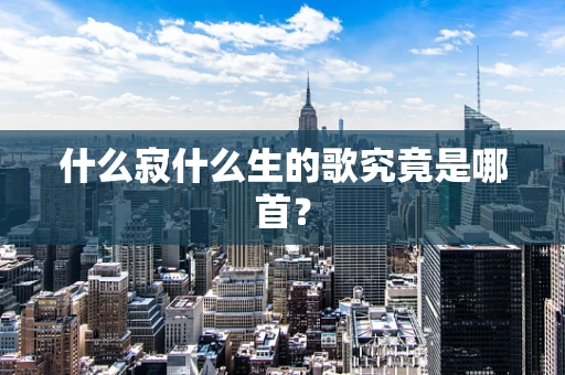什么寂什么生的歌究竟是哪首？