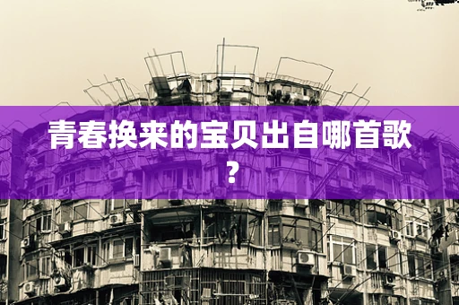 青春换来的宝贝出自哪首歌？