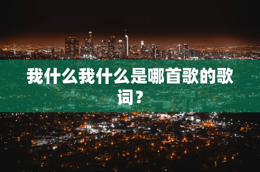 我什么我什么是哪首歌的歌词？