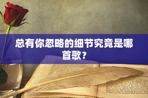 总有你忽略的细节究竟是哪首歌？