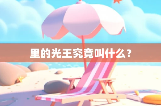里的光王究竟叫什么？